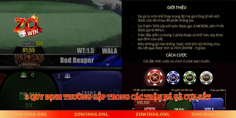 3 quy định thường gặp trong các trận đá gà cựa sắt