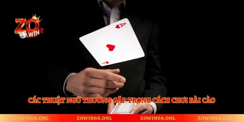 Các thuật ngữ thường gặp trong cách chơi bài cào
