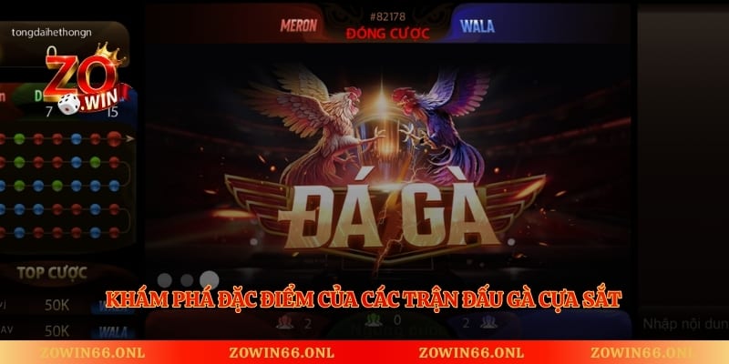 Khám phá đặc điểm của các trận đấu gà cựa sắt