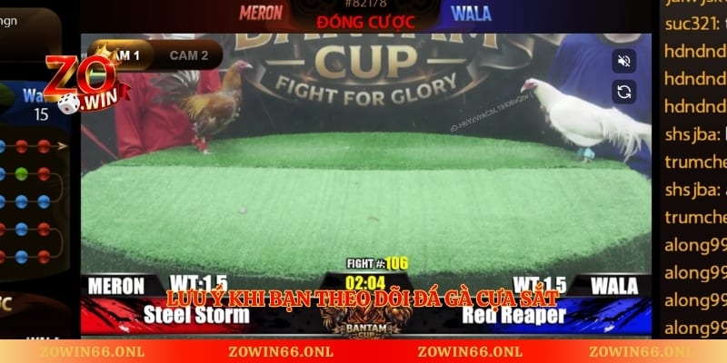 Lưu ý khi bạn theo dõi đá gà cựa sắt